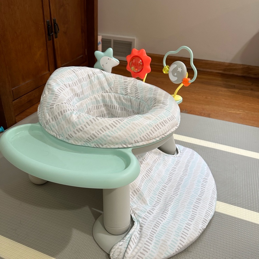 Skip Hop Baby Chair